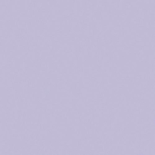 5x5 LAVANDA