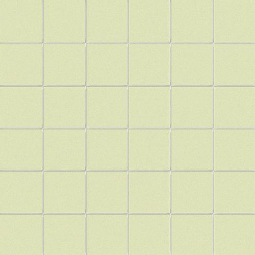 5x5 su rete FIENO
