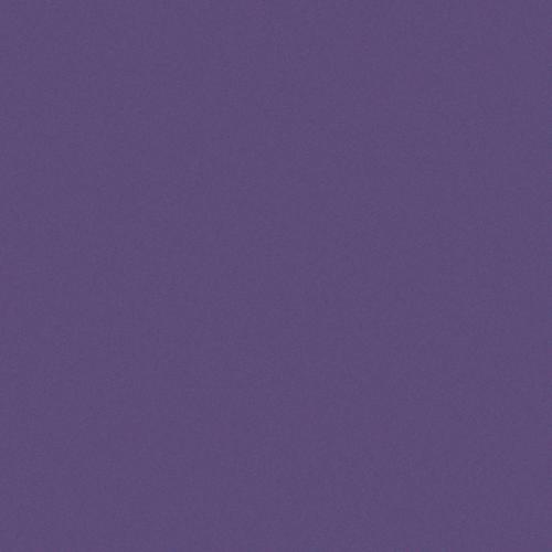 10x10 VIOLA