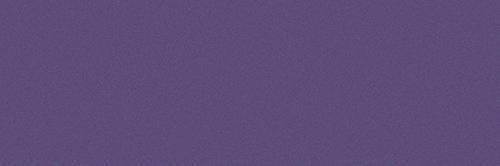 10x30 VIOLA