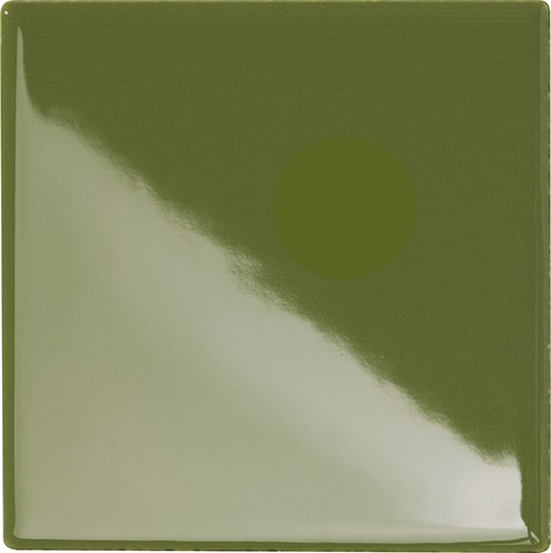 10x10 CACTUS
