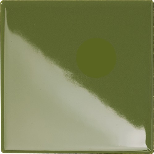 20x20 CACTUS