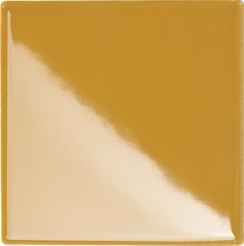 20x20 CURRY