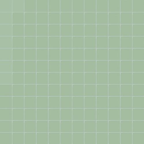 2,5x2,5 su rete ALOE
