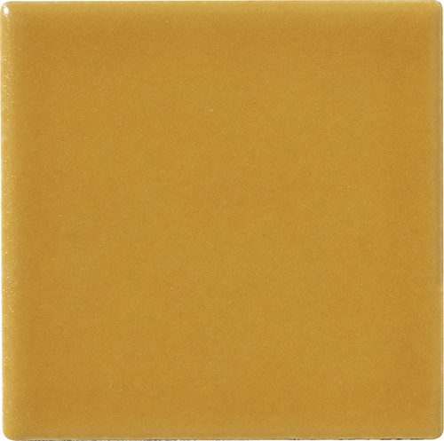 5x5 SENAPE