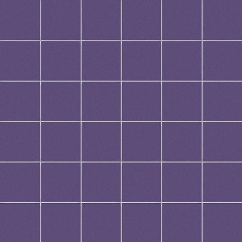 5x5 su rete VIOLA