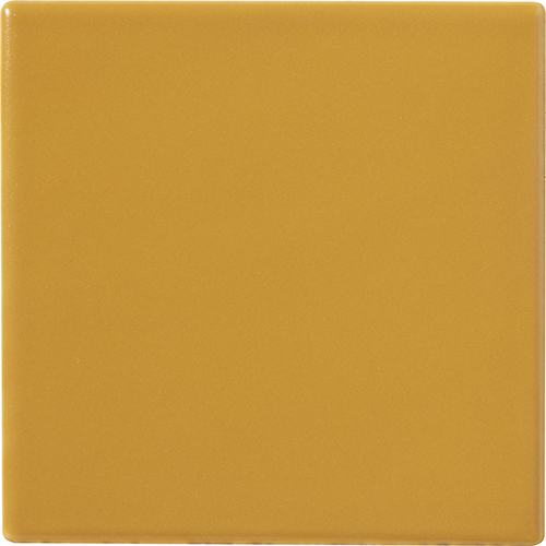 10x10 SENAPE