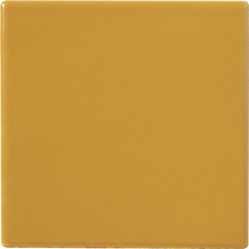 20x20 SENAPE