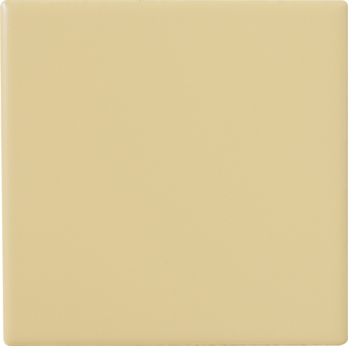 20x20 BURRO