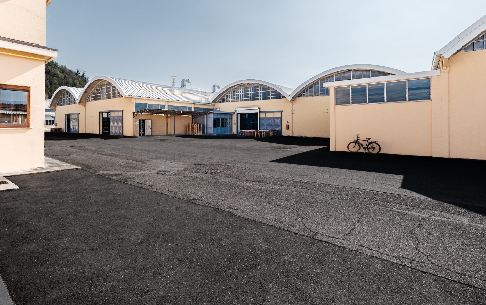L'azienda